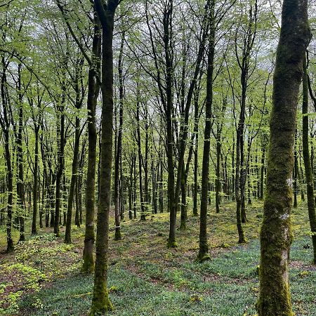 Mullaghmeen Forest Мълингар Екстериор снимка